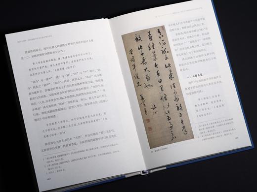 《视阈与阐释：清代题跋中的书法批评观念嬗变》 商品图5
