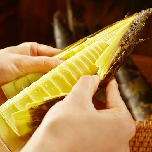 鲜雷笋 约400g/份 商品图4