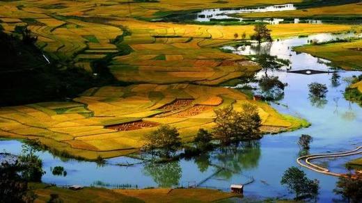 云南普者黑、坝美、八宝6天摄影团 商品图13