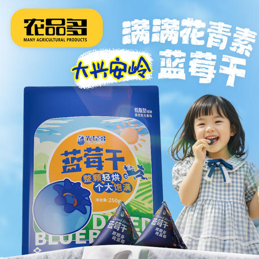 蓝笑  农品多大兴安岭野生蓝莓干250g✅ 0添加色素｜0香精｜0植物油✅无添加｜自然果香｜酸甜有嚼劲 商品图0