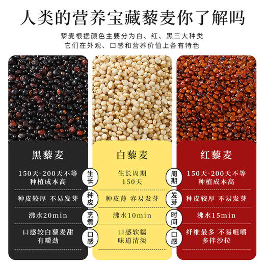 袋鼠小布秘鲁进口1：1：1科学配比三色藜麦代餐轻食杂粮罐装  750g/罐 商品图1