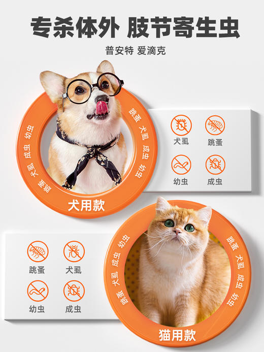 【49元任选3件】普安特宠物驱虫药猫咪狗狗爱滴克非泼罗尼1支+芬苯达唑片（1盒）（该链接限购2件） 商品图1