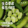 【排单发货】生态带皮蚕豆/胡豆（农场直发-顺丰包邮）｜3斤/5斤装，成都郫都区基地，【原乡农场，自产自销】 商品缩略图0