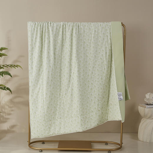 利路米特惠款清凉水洗夏被青草绿 商品图2