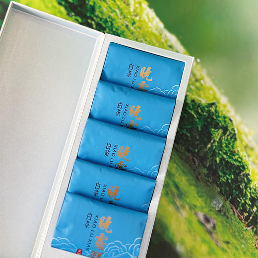 晓露鲜白茶星鲜 商品图3