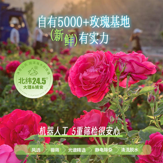 潘祥记官方旗舰店春季[头水玫瑰鲜花饼] 商品图3