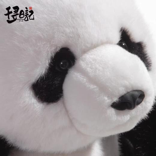 千寻日记熊猫系列 商品图3