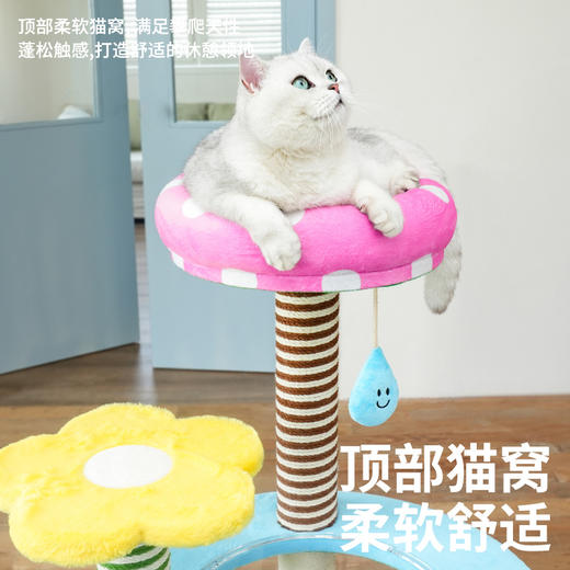 zeze缤纷花园爬架-B（包邮） 商品图1