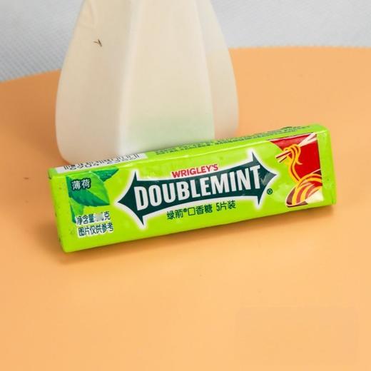 绿箭口香糖5片装 13.5g/条 商品图3