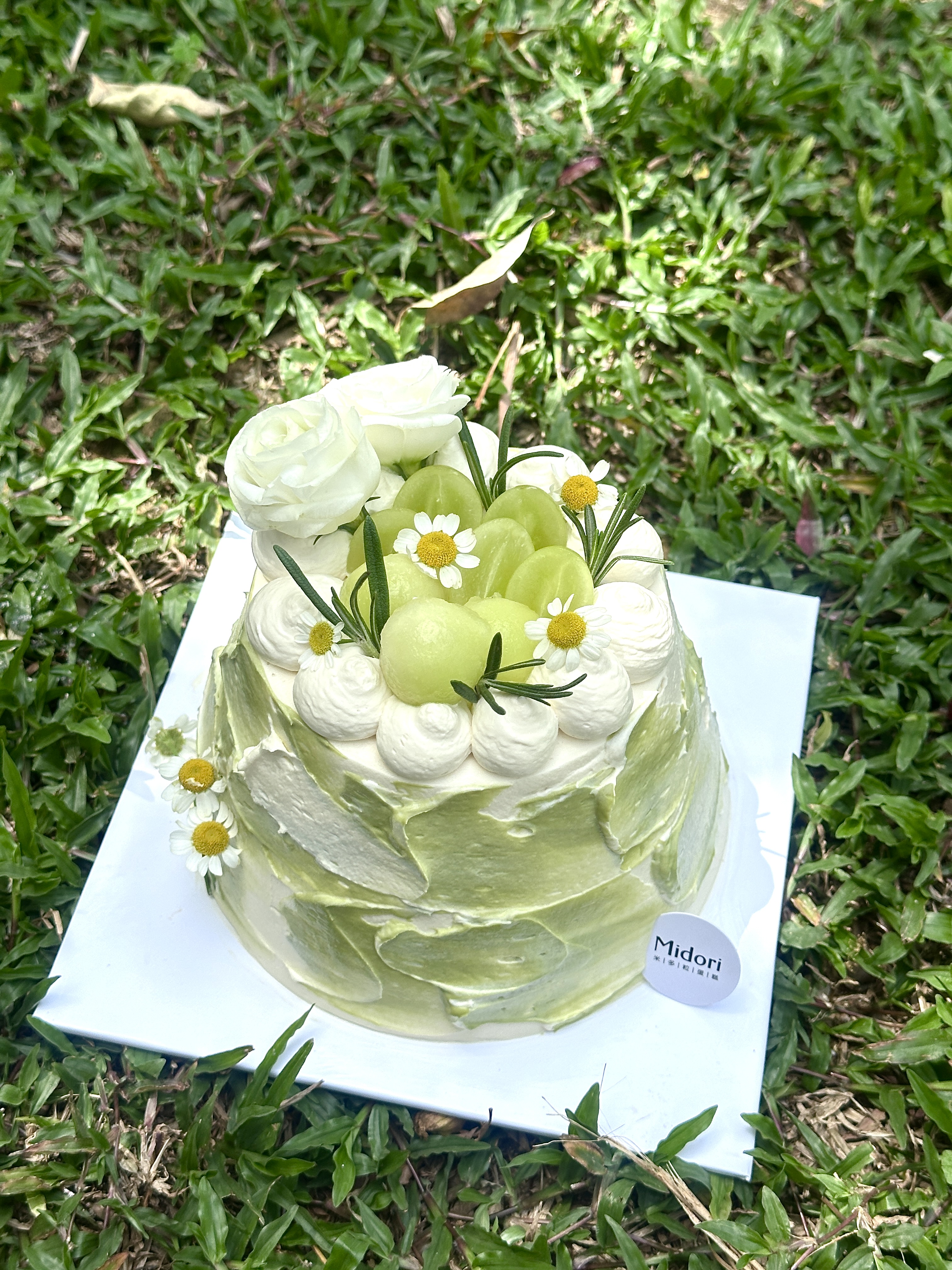 伯牙绝弦蛋糕 | 口味蛋糕