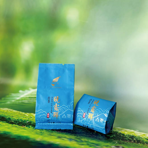 晓露鲜白茶星鲜 商品图4