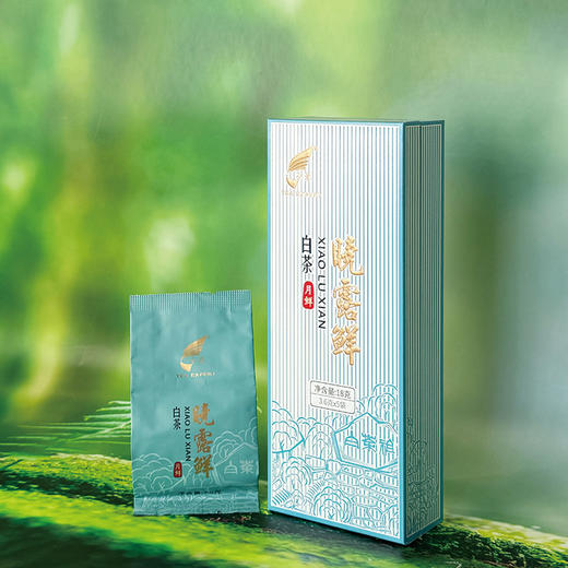晓露鲜白茶月鲜 商品图2