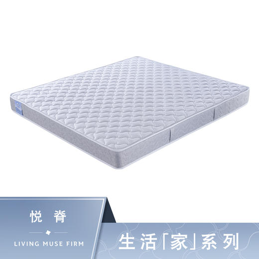 生活家-悦脊 商品图0