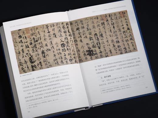 《视阈与阐释：清代题跋中的书法批评观念嬗变》 商品图7