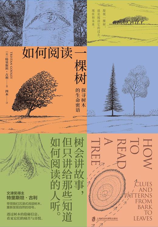 如何阅读一棵树 : 探寻树木的生命密语 商品图0