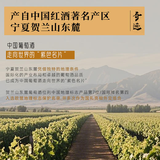 【国际马拉松官方指定用酒】奇迹酒庄·128红葡萄酒  中国葡萄酒第一镇 10个月橡木桶陈酿 14%vol 商品图1