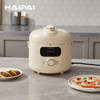 海牌多功能电压力锅_HP-DL20【K】 商品缩略图0