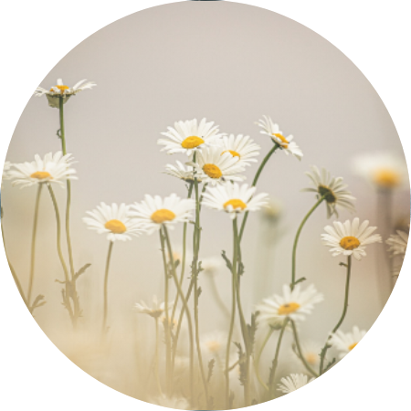 《21天慈悲冥想》-曾祥龙