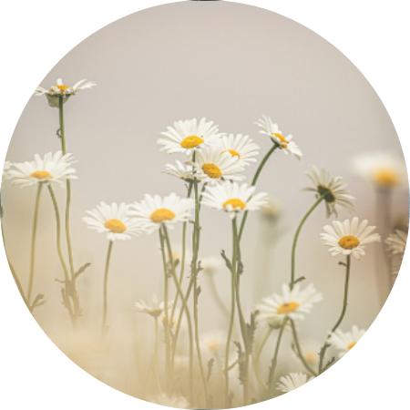 《21天慈悲冥想》-曾祥龙 商品图0