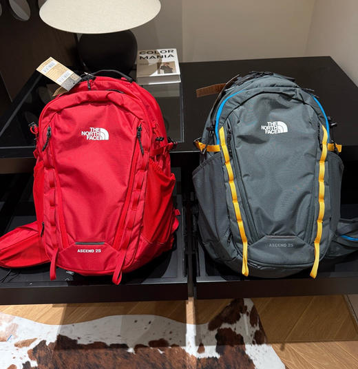 tnf北面书包登山包双肩包042307 商品图6