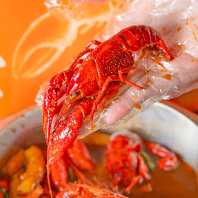 【湖北好物】洪湖小龙虾  多口味任选  顺丰直达