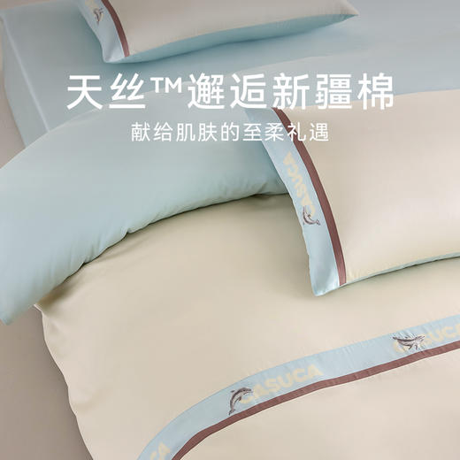 CASUCA 达芬涞涞天丝棉四件套60支轻奢刺绣床单款 商品图1