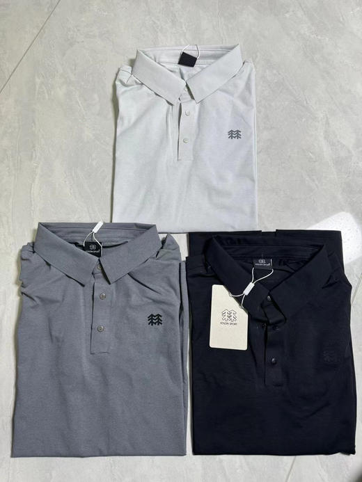 原单正品可隆KOLON男款夏吸湿速干翻领防晒抗菌POLO衫，seco 3.0技术 弹力速干为一体 抗菌性能一级，让你轻便出街 
三个色， M-XXL 商品图2