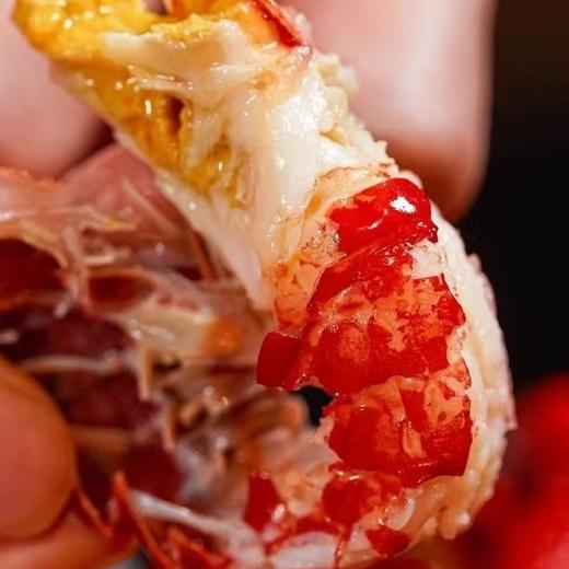 【海鲜精选】水部楼花雕熟醉小龙虾 du家秘制配方 现捞活虾烹饪 个头饱满虾壳薄 紧实肉厚 入口Q弹爽滑 夏季必吃❗️ 商品图1