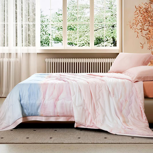 鑫缘 极爽可水洗桑蚕丝被 AEPD0320 商品图11