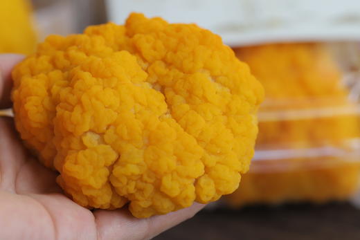 四川遂宁·黄金耳｜产量极其稀少，Q弹软糯的“菌中燕窝” 商品图0