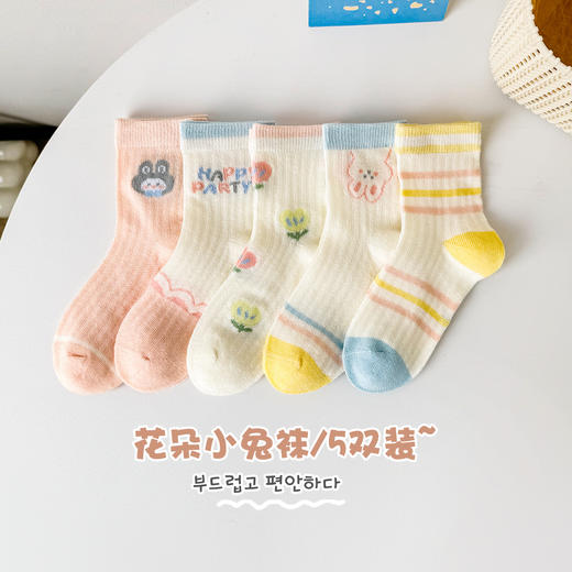 柠檬舒品夏日网眼透气袜升级款【5双装】 商品图2