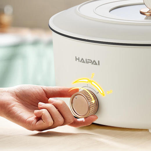 海牌多功能电火锅_D206【K】 商品图4