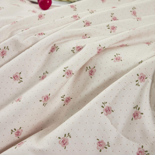 利路米热卖爆款纯棉印花夏凉被夏日甜蜜 商品图3