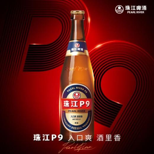 珠江啤酒P9啤酒 560ml/瓶 商品图1