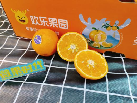 欢乐果园沃柑一箱 商品图3