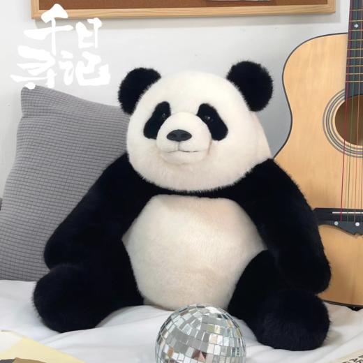 千寻日记熊猫系列 商品图4