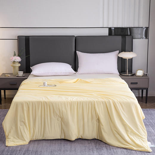 新款A类凉感丝夏被冰淇淋夏凉被可机洗空调被夏季午睡薄被子HLY 商品图9