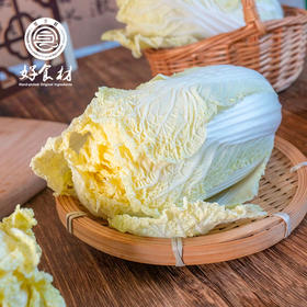 CY-云南高山娃娃菜