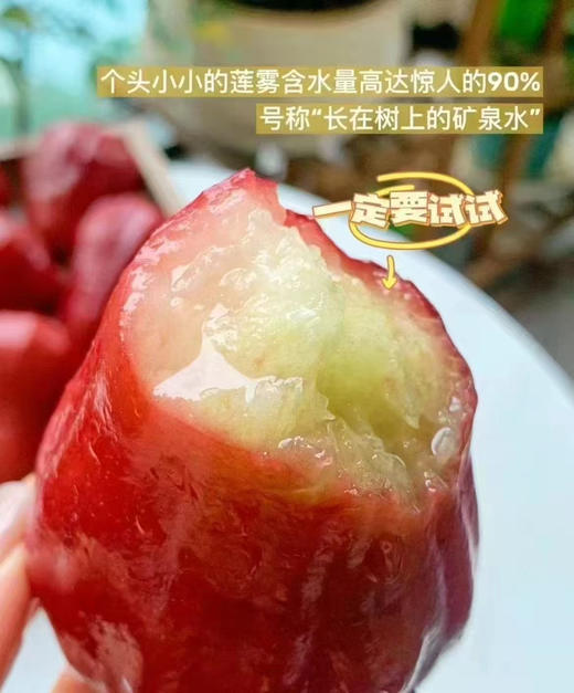 黑金刚莲雾 商品图2