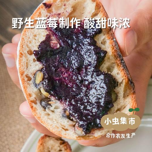 野生蓝莓酱 165g/罐 | 合作农友生产，来自黑龙江大兴安岭，生产者：柳树 &【公平贸易农人定价】 商品图1