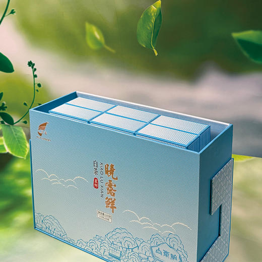 晓露鲜白茶星鲜 商品图1