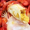 【海鲜精选】水部楼花雕熟醉小龙虾 du家秘制配方 现捞活虾烹饪 个头饱满虾壳薄 紧实肉厚 入口Q弹爽滑 夏季必吃❗️ 商品缩略图5