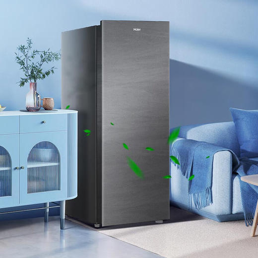 海尔（Haier）风冷无霜立式冰柜家用152升风冷无霜冷冻柜抽屉式侧开单门冰箱母乳BD-152WGHS9家电国家补贴20% 商品图6