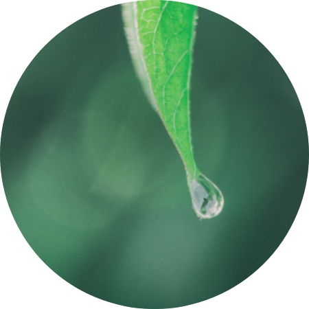 《5天美好心境冥想》-玛吉薇蒳