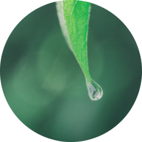 《5天美好心境冥想》-玛吉薇蒳