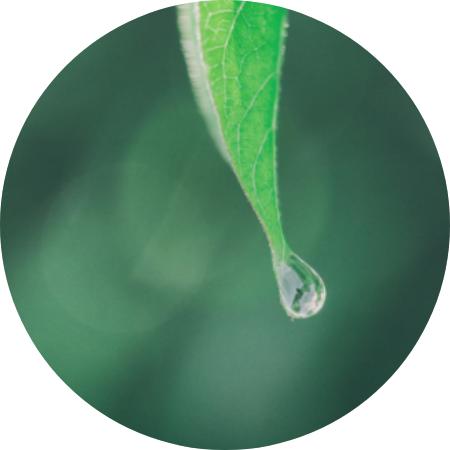 《5天美好心境冥想》-玛吉薇蒳 商品图0