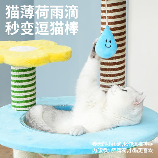 zeze缤纷花园爬架-B（包邮） 商品图2