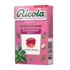 Ricola 利口乐黑加仑子润喉糖(无糖) 40g/盒 商品缩略图0