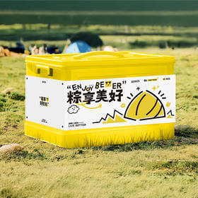 端午山野粽子礼盒