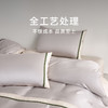 CASUCA 达芬涞涞天丝棉四件套60支轻奢刺绣床单款 商品缩略图4